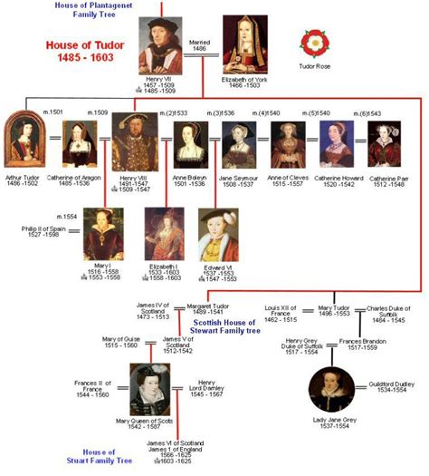 edward vi family tree.